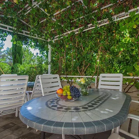 Amazing In With Wifi Apartment